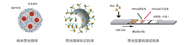 甲基對硫磷熒光定量快速檢測卡/試紙條 甲基對硫磷熒光定量快速檢測卡/試紙條